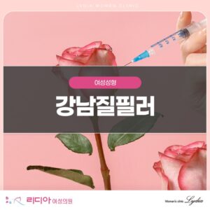 강남질필러