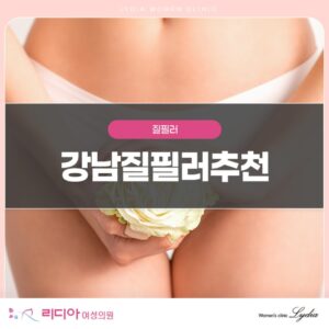 강남질필러