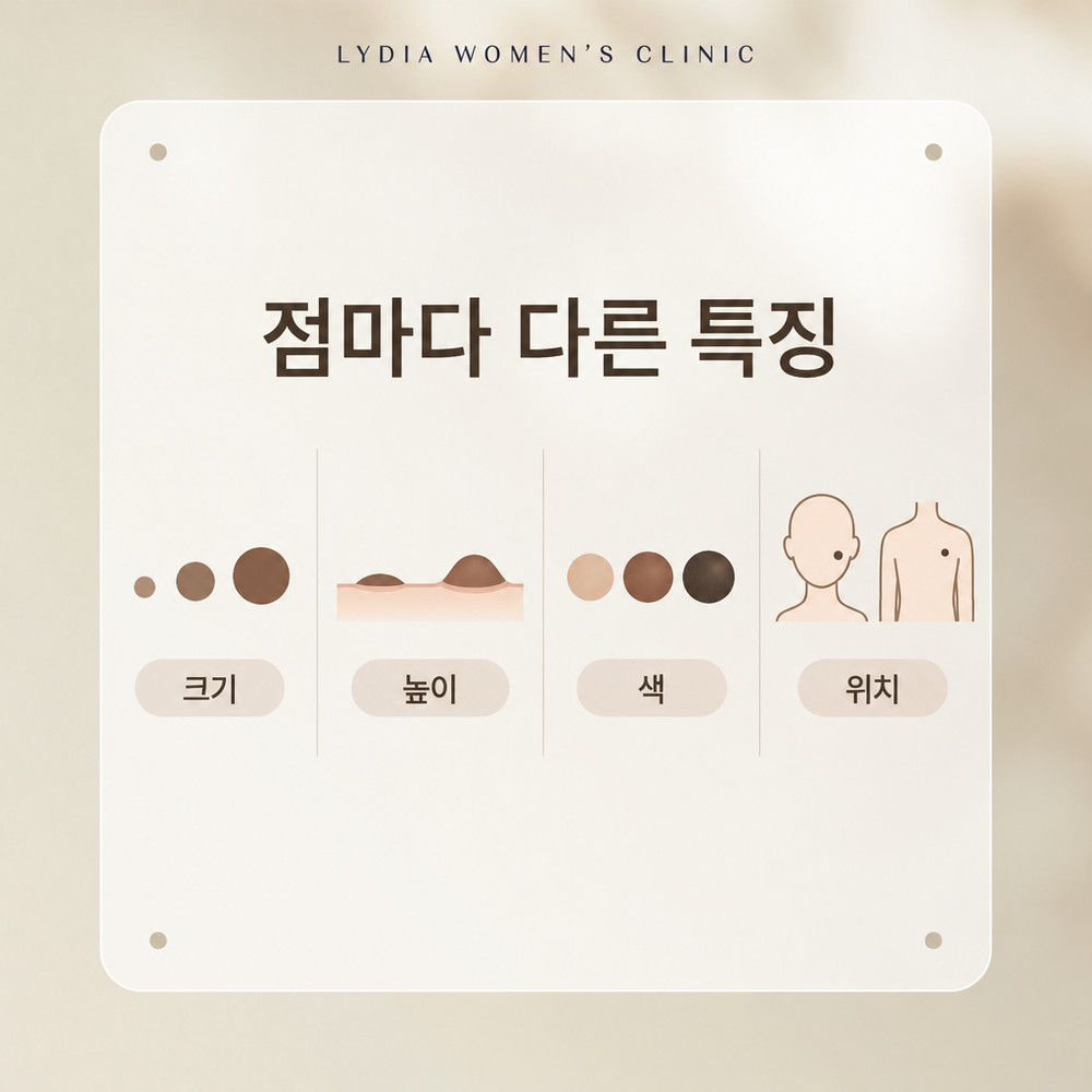 점마다 종류와 깊이, 위치가 달라 각각 따로 살펴봐야 하는 점의 특징